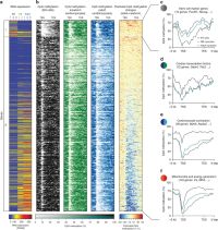 Bioinformatics visualization