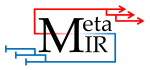 metaMIR logo