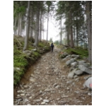 0608_alpen_006.JPG