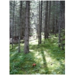 0608_alpen_009.JPG