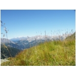 0608_alpen_156.jpg