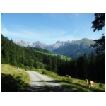 0608_alpen_174.jpg