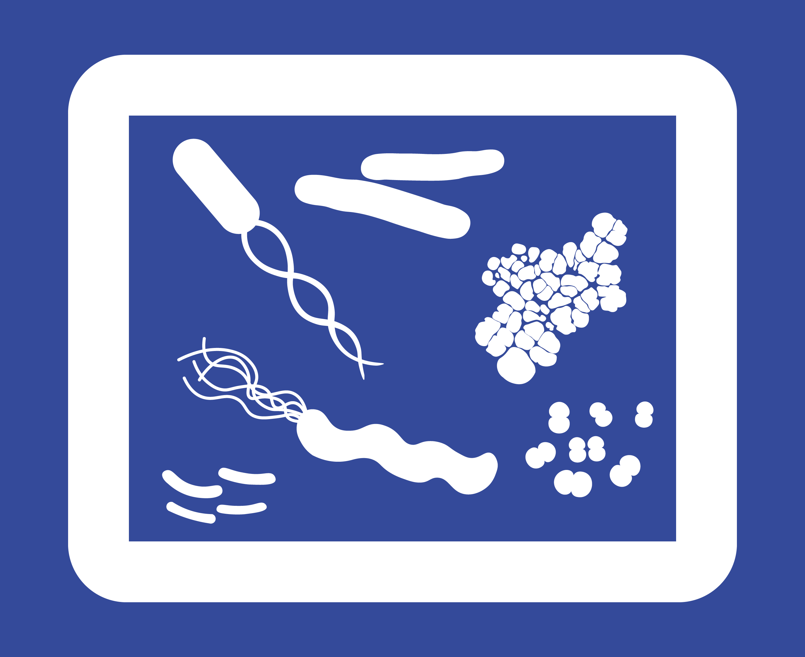 Logo Ribobase