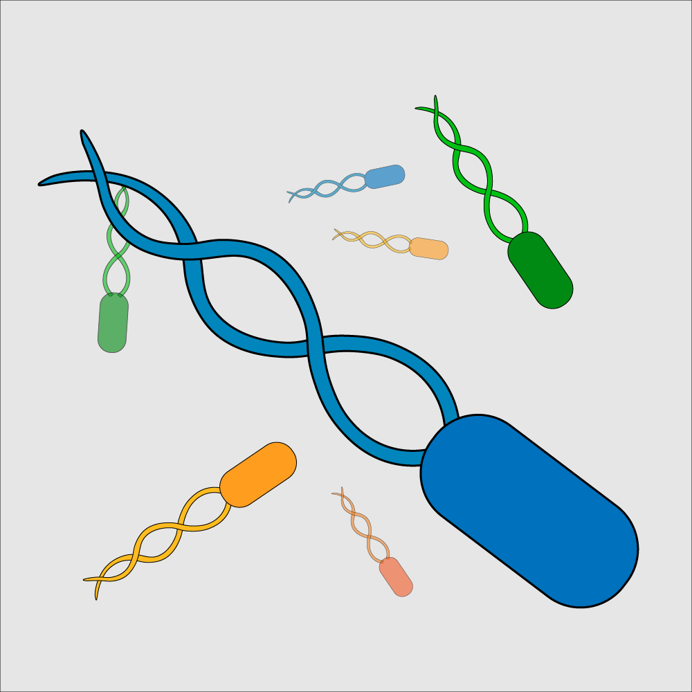 org-salmonella